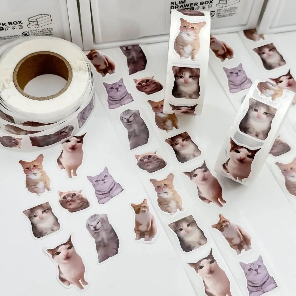 Rouleau d'autocollants chaton chat Ins, 500 pièces/rouleau, ruban d'étanchéité auto-adhésif, étiquette mignonne et amusante, autocollants décoratifs pour manuel de bricolage