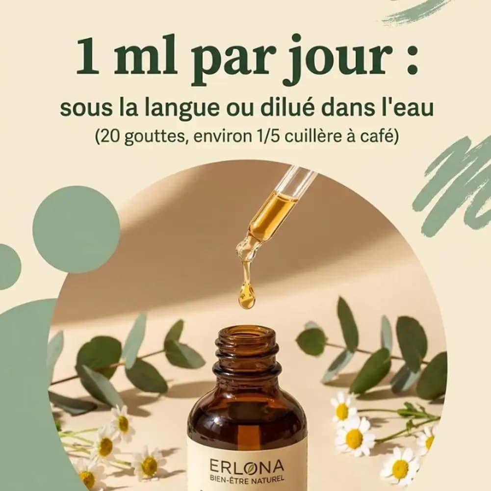 1-10X 59ml Gouttes liquides à base de plantes pour drainage lymphatique