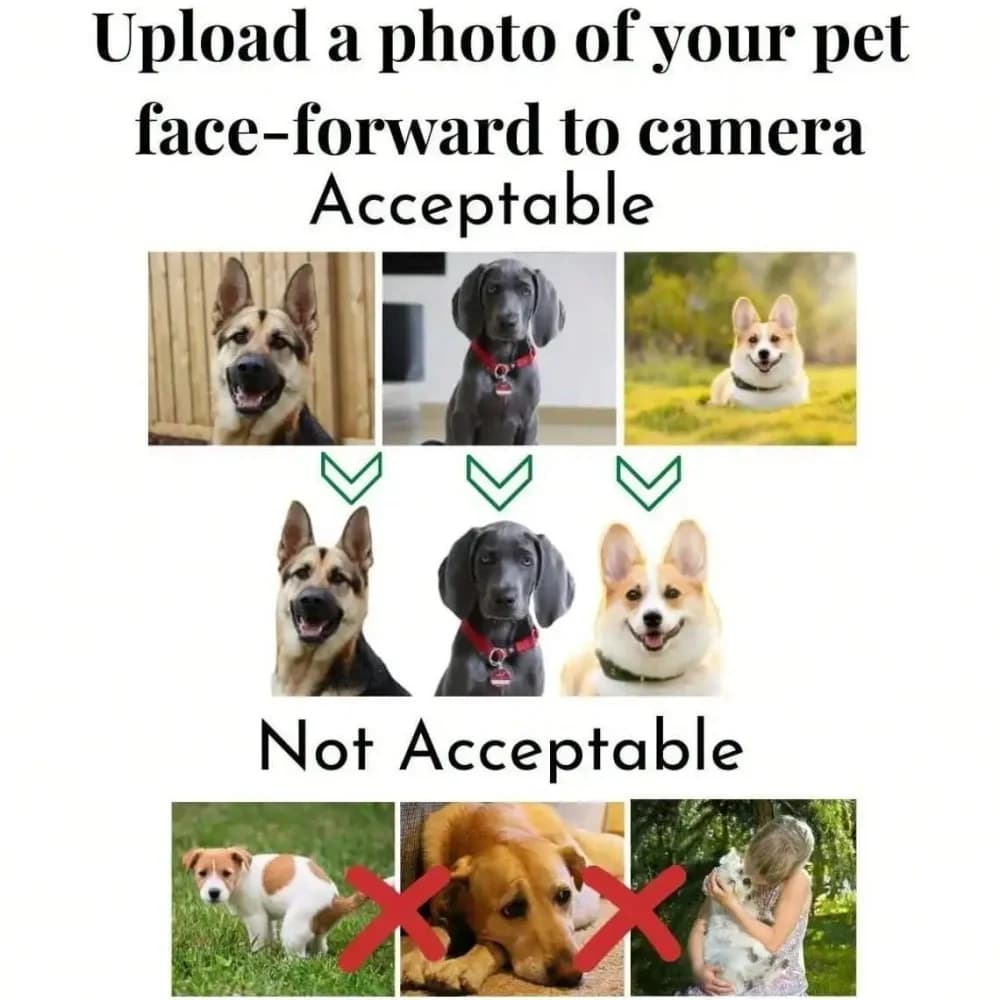 Carte personnalisée pour chien, carte d'identification pour animal de compagnie, cadeau d'anniversaire pour animal, carte de poche idéale pour animal, cadeau pour animal de compagnie