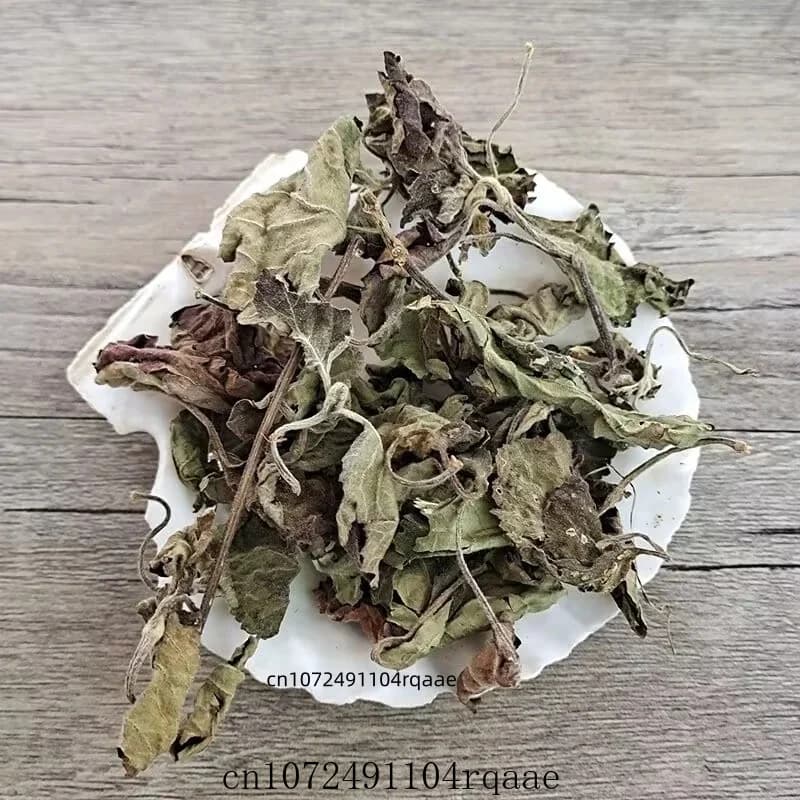 Feuilles d'Agastache Rugosa Séchées Naturelles Pures, Feuilles de Patchouli/Perilla Séchées Premium pour l'Aromathérapie et les Projets DIY