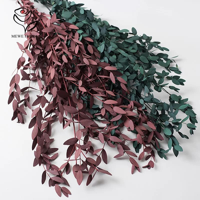 Bouquet de feuilles d'eucalyptus 100g