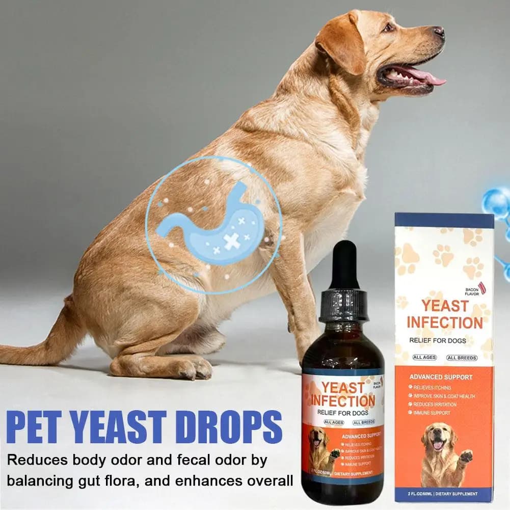 Gouttes de levure pour animaux de compagnie 60 ml pour la santé digestive, améliore la diarrhée et la constipation, améliore la santé de la peau et des poils, complément alimentaire pour animaux de co