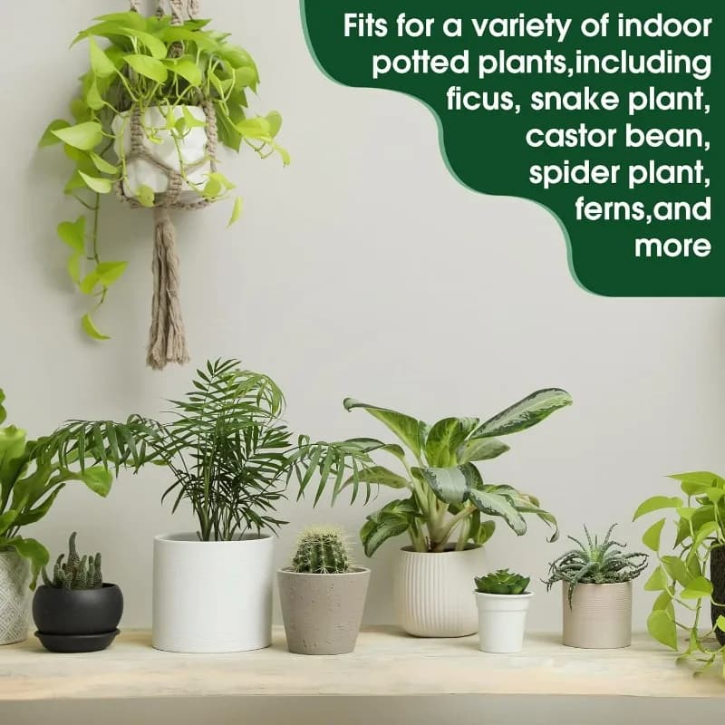 Barres nutritives pour plantes en gros, engrais composé pour plantes, fruits, légumes, fleurs, barres nutritives azote, phosphore, potassium