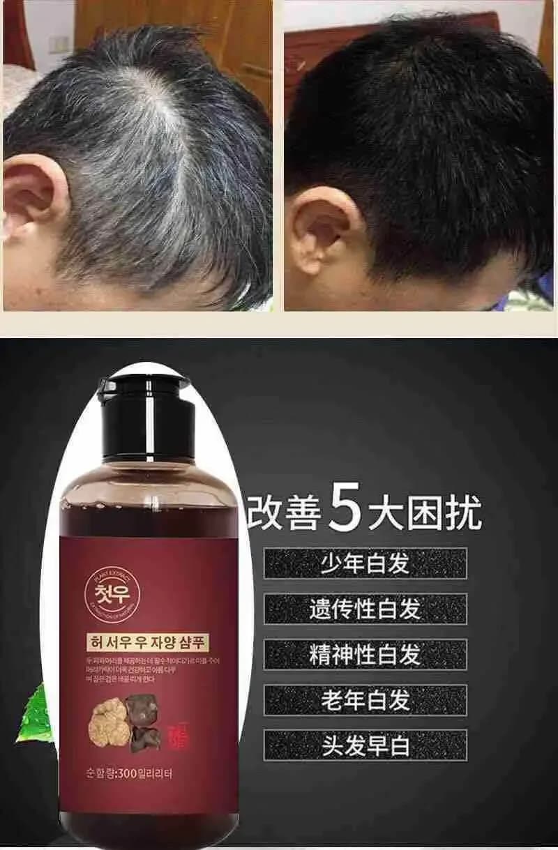 Shampooing à base de plantes Polygonum Multithorum, dissolvant efficace pour cheveux gris, traitement anti-cheveux blancs, 300ml