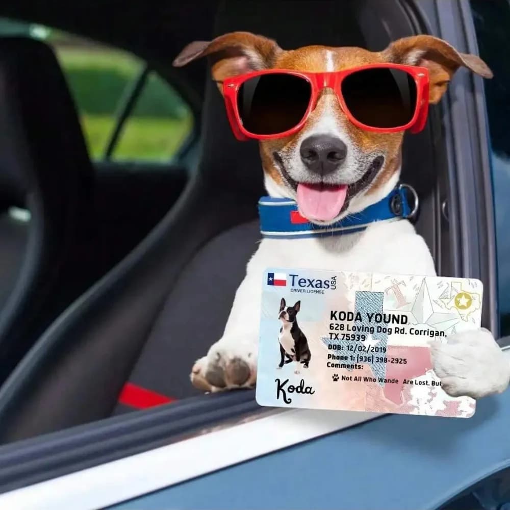 Carte personnalisée pour chien, carte d'identification pour animal de compagnie, cadeau d'anniversaire pour animal, carte de poche idéale pour animal, cadeau pour animal de compagnie