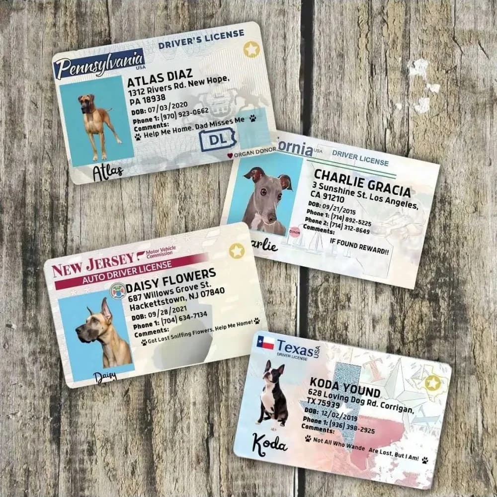 Carte personnalisée pour chien, carte d'identification pour animal de compagnie, cadeau d'anniversaire pour animal, carte de poche idéale pour animal, cadeau pour animal de compagnie