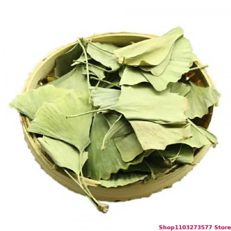 Feuilles séchées de Ginkgo Biloba de haute qualité, pour savon de beauté et de santé, Sachet de parfum de maison, bougie de mariage, fabrication de bijoux, décoration extérieure