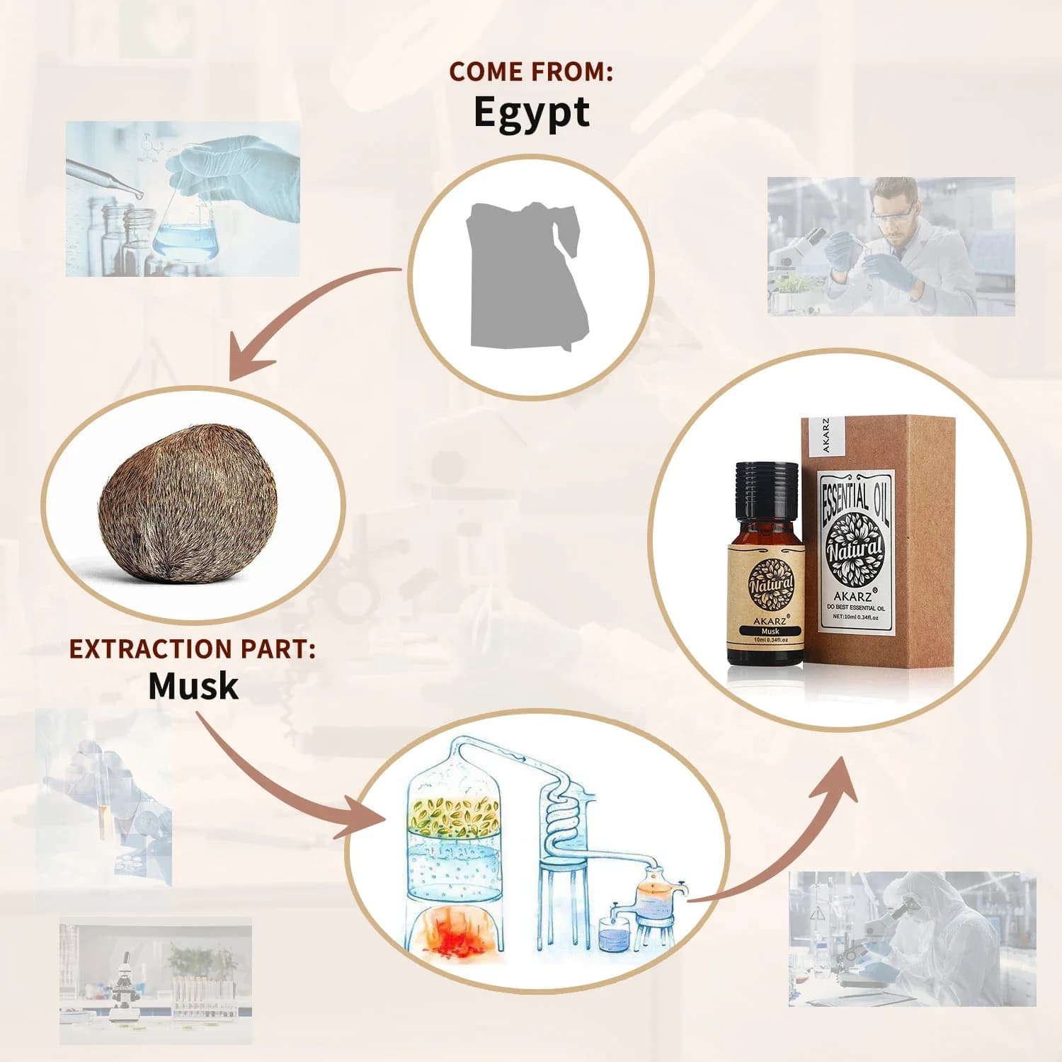 Huile essentielle de musc naturelle