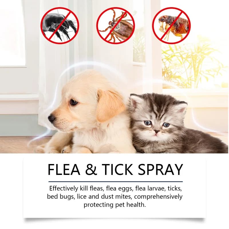 Spray anti-puces et tiques pour chiens et chats, répulsif d'insectes doux à usage quotidien, tue les puces, les tiques et les poux, formule sûre