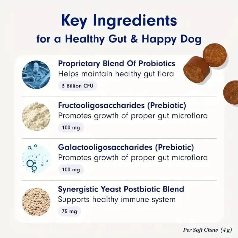 30 Probiotiques pour chiens – Complément digestif et immunitaire pour toutes les races