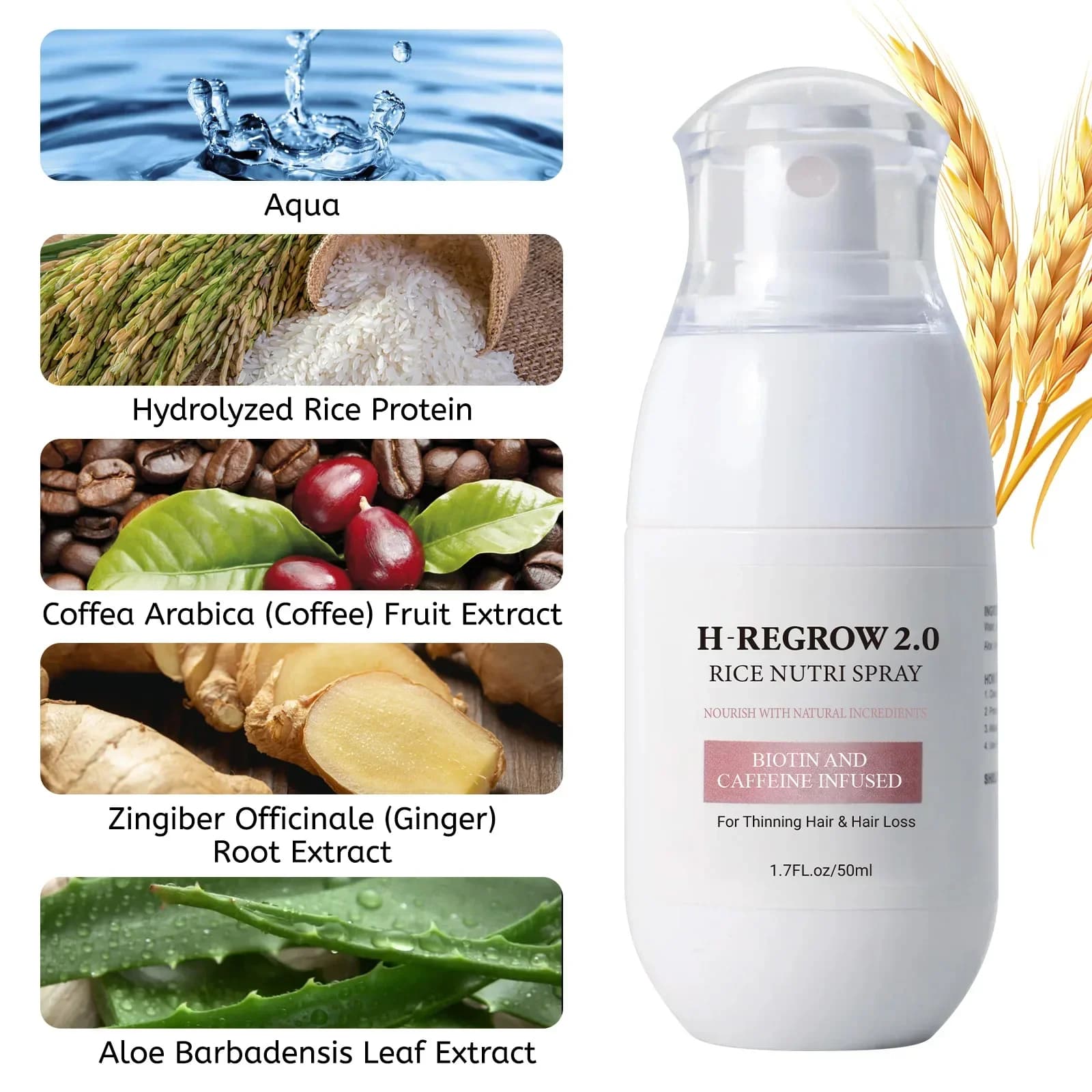 Spray de Soutien à la Densité Capillaire - Formule Fermentée au Vin de Riz Nourrit les Racines