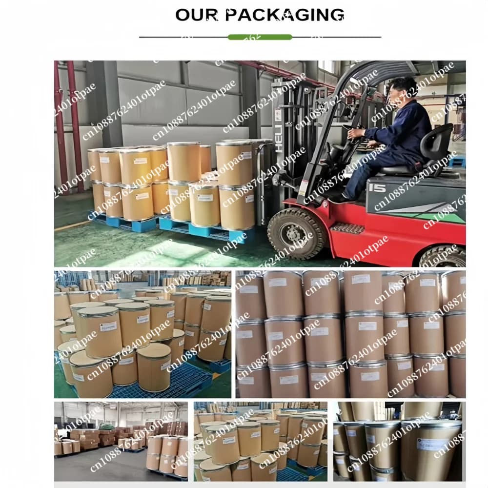 Emballage et scellage professionnels en usine, extrait de Gingkgo Ginkgo Biloba en poudre, supplément pour soins du visage, poudre pour le corps