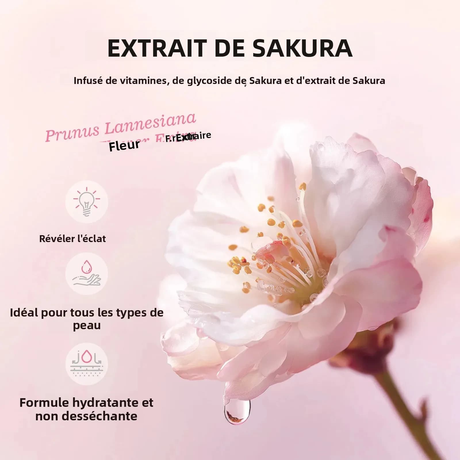 Déodorant japonais Sakura Roll On 60ml