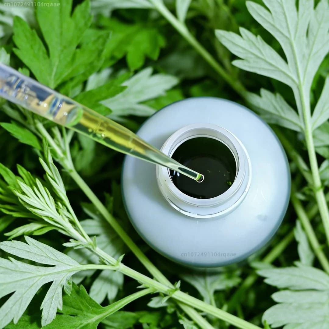Huile d'armoise naturelle pure et non diluée à 100 % pour l'aromathérapie
