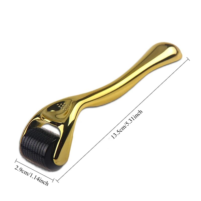 Rouleau micro-aiguilles 540 micro-aiguilles en alliage de titane de 0,25 mm pour le rajeunissement de la peau, la croissance des cheveux et l'élimination des taches de rousseur