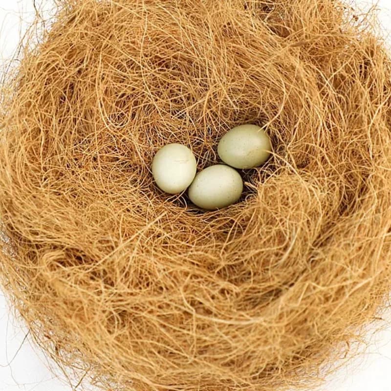 Matériel de nidification en Fiber de noix de coco, nid/Fiber d'aviaire, oiseaux canaries, pins, nid rempli d'herbe, accessoires pour Cage à oiseaux, 100/200g