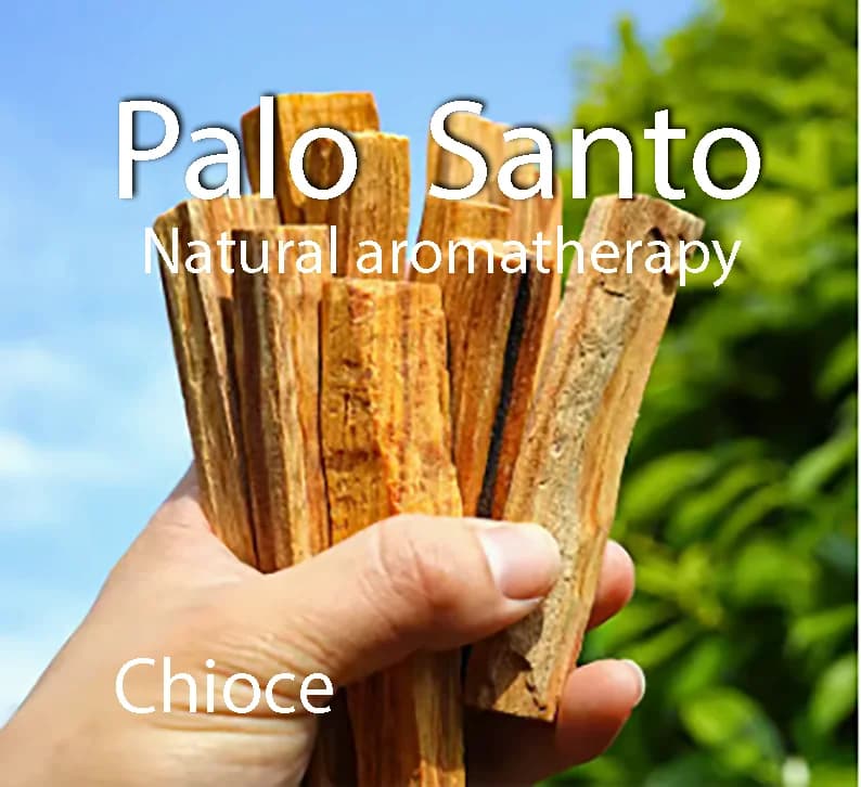 Palo Santo bâtons d'encens naturels à haut teneur en huile pour aromathérapie intérieure, méditation rafraîchissante pour la respiration, 10 pièces
