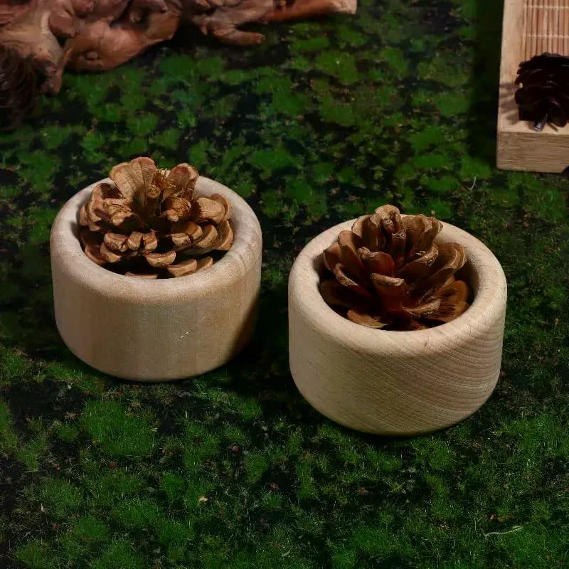 Diffuseur d'huile essentielle en bois de pomme de pin créatif