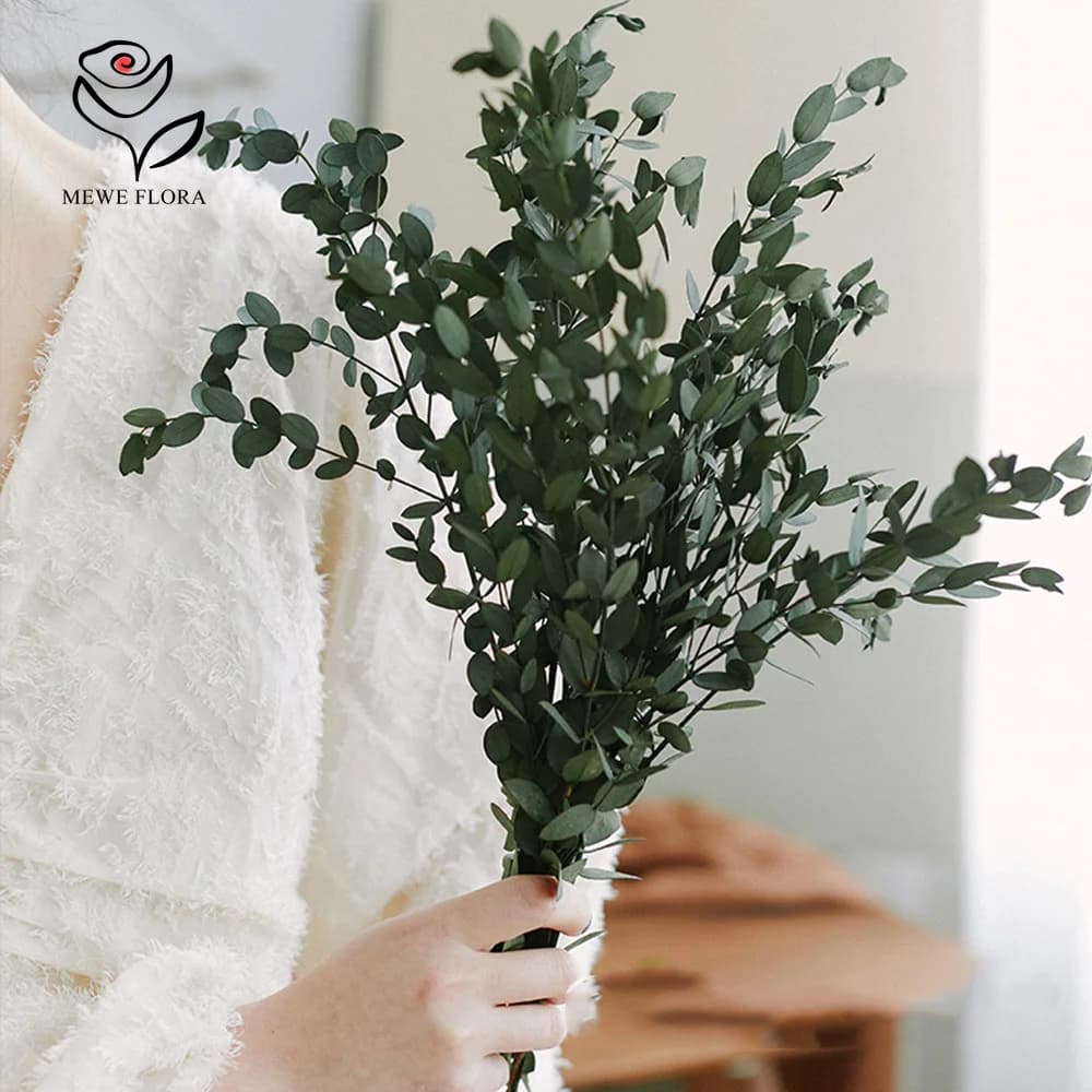 Bouquet de feuilles d'eucalyptus 100g