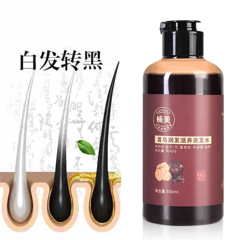 Shampooing à base de plantes Polygonum Multithorum, dissolvant efficace pour cheveux gris, traitement anti-cheveux blancs, 300ml