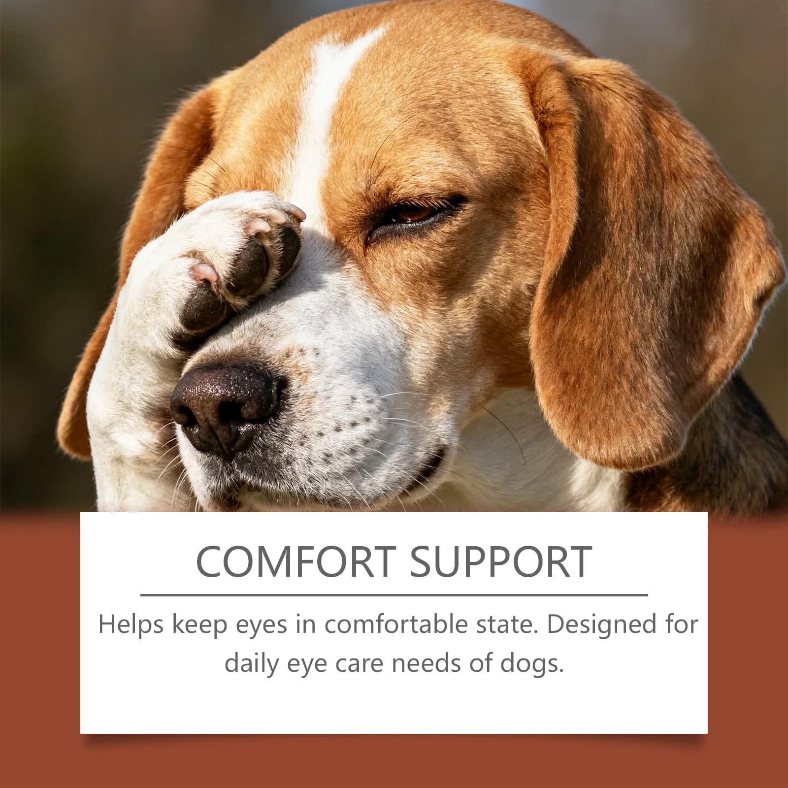 Gouttes pour les yeux des chiens, complément alimentaire, formule douce à la lutéine, soutien oculaire quotidien, adapté à tous les types de chiens, application orale facile