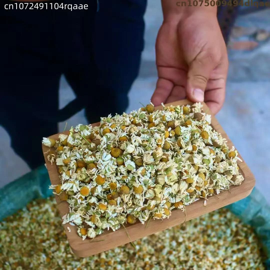 Bourgeons de fleurs de camomille 100 % naturels et purs, pour la fabrication de savons, la fabrication de bougies, la décoration de mariage, le pot-pourri et la décoration DIY pour la maison
