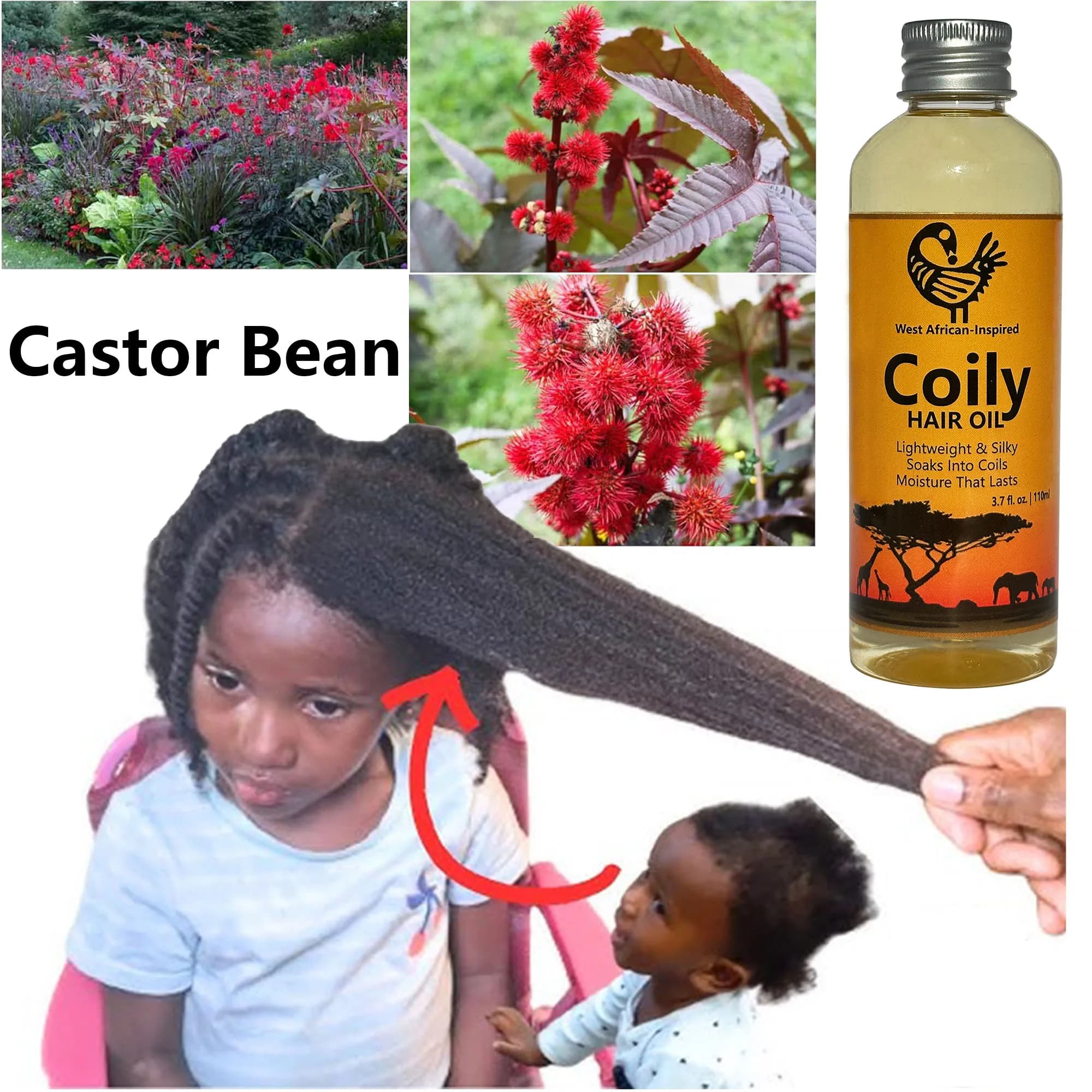 Huile pour cheveux crépus d'inspiration ouest-africaine de 110 ml avec romarin et ricin, légère et soyeuse, pénètre dans les boucles, hydratation durable