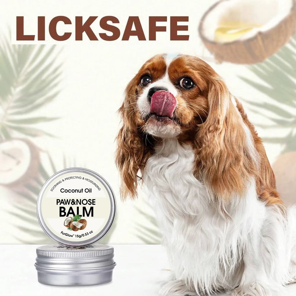 Le baume deux en un pour la soin des pattes et du nez pour animaux de compagnie peut soulager efficacement les nuages secs et les pattes craquelées en hiver, convient aux chiens et aux chats, c'est un