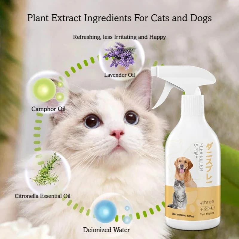 Spray répulsif anti-insectes pour animaux de compagnie