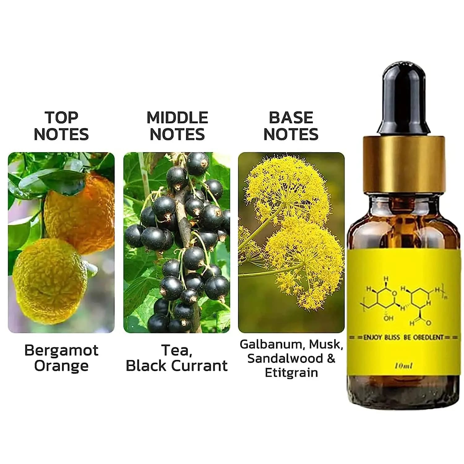 Phéromone pour homme attirer les femmes androstenone phéromone sexuellement stimulant parfum huile flirtant produit de parfum Sexy