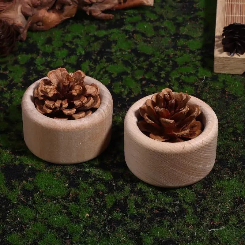 Diffuseur d'huile essentielle en bois de pomme de pin créatif