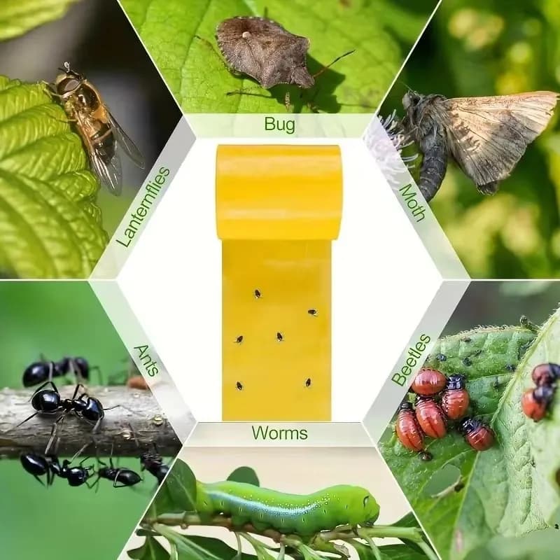 Nouveau Ruban Adhésif Anti-Nuisibles Jaune Double Face 5/10 Mètres pour Jardin