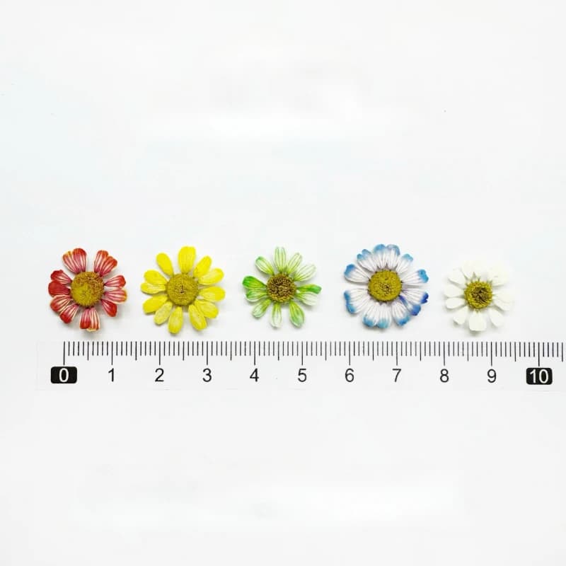 12 pièces/1-2 cm, Mini fleur sèche naturelle camomille, cadre Photo fait à la main, matériel de bricolage, bijoux de maquillage, pétales de fleurs époxy pour Nail Art