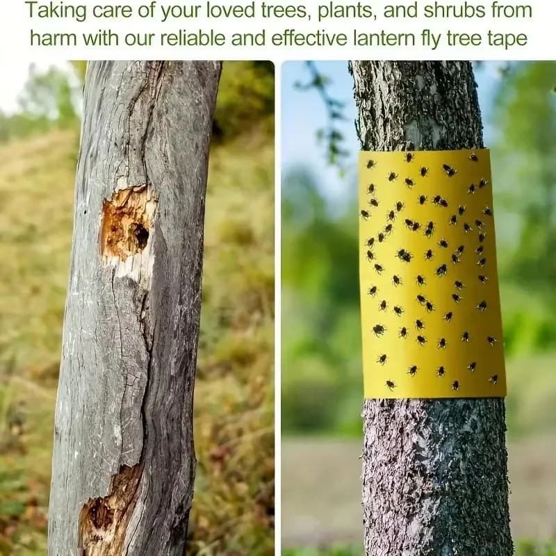 Nouveau Ruban Adhésif Anti-Nuisibles Jaune Double Face 5/10 Mètres pour Jardin