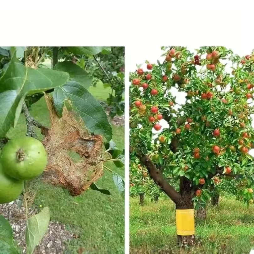 1 rouleau de ruban adhésif jaune double face anti-insectes pour empêcher les insectes