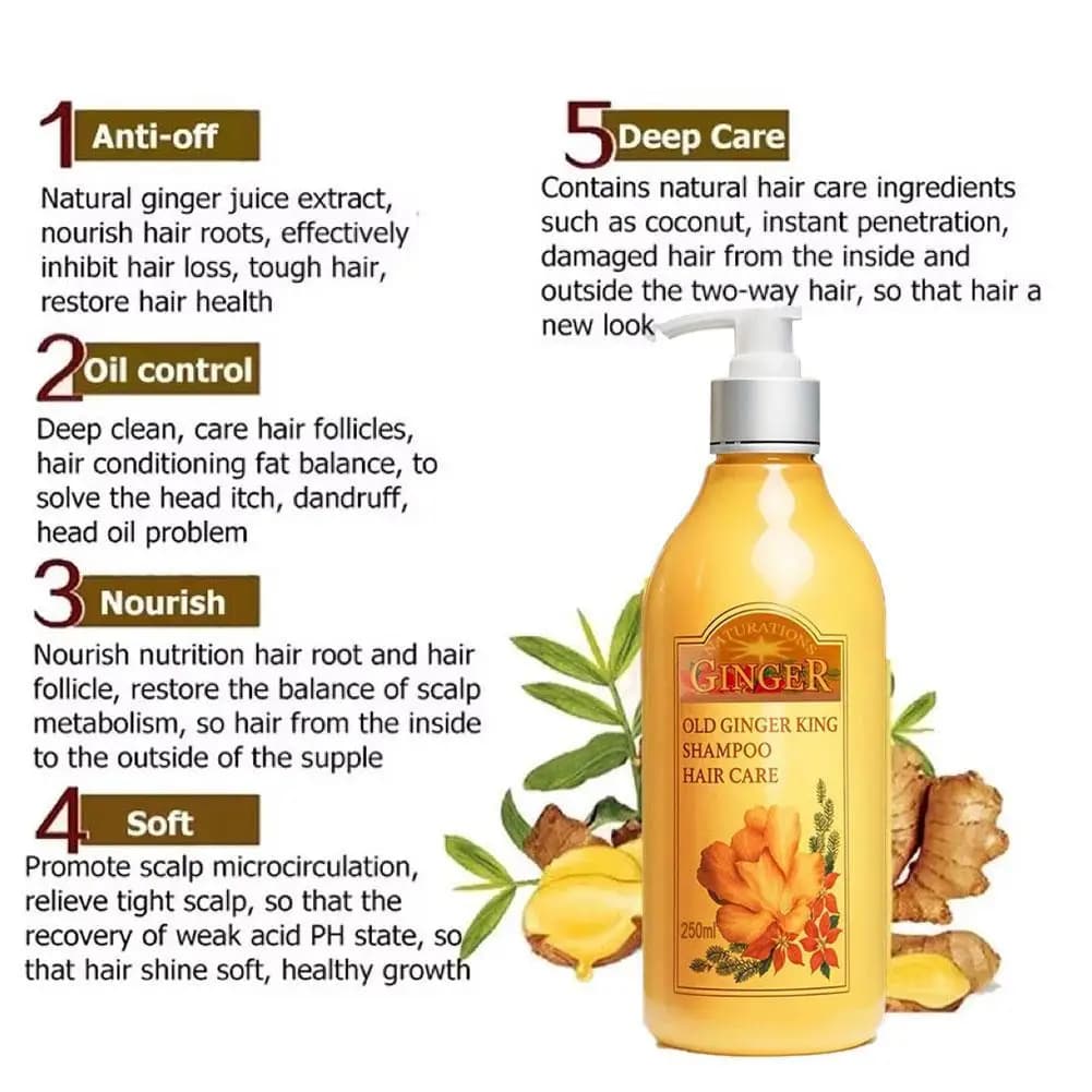 Shampooing capillaire au jus de gingembre ancien 250 ml – Traitement professionnel du cuir chevelu
