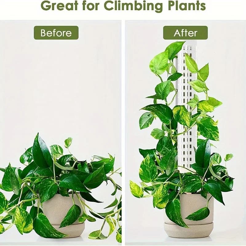 Perche en mousse 1 pièce: donnez à vos plantes grimpantes Monstera le soutien puissant dont elles ont besoin!