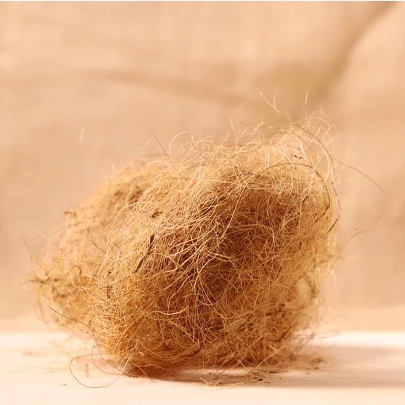 Matériel de nidification en Fiber de noix de coco, nid/Fiber d'aviaire, oiseaux canaries, pins, nid rempli d'herbe, accessoires pour Cage à oiseaux, 100/200g