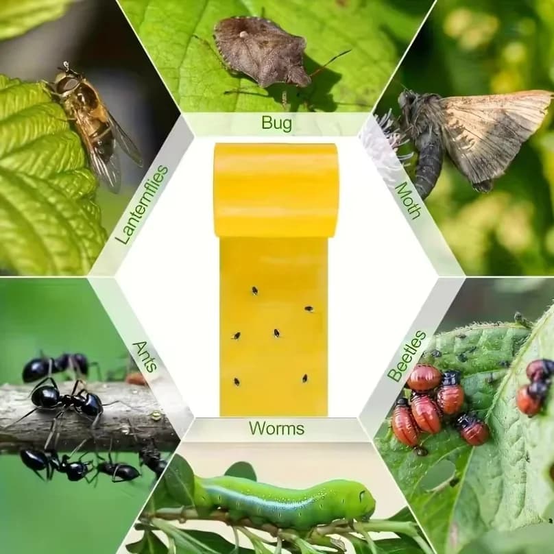 1 rouleau de ruban adhésif jaune double face anti-insectes pour empêcher les insectes
