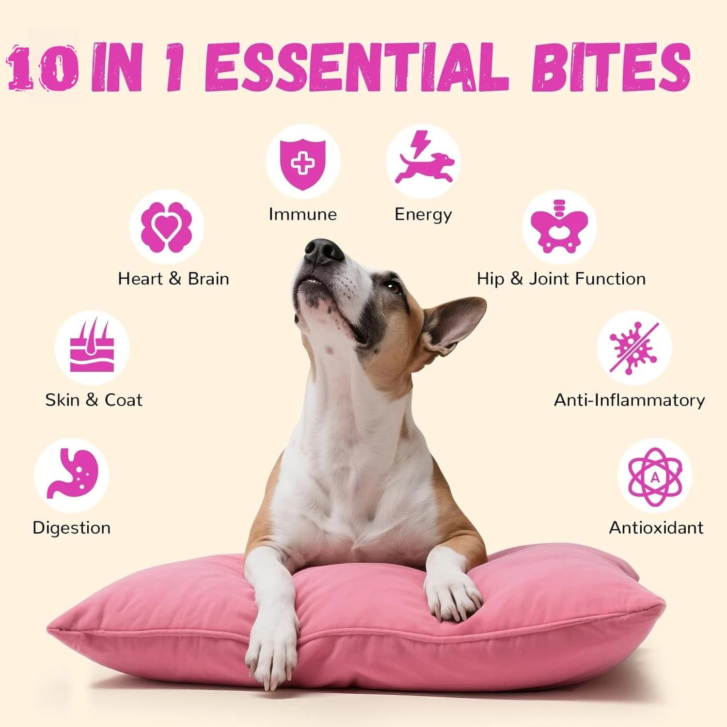 Multivitamines pour chien 150g, 10 vitamines en 1, compléments alimentaires pour animaux de compagnie, oméga-3, glucosamine pour chiots, soins de la peau, du pelage, de la digestion, du système immuni