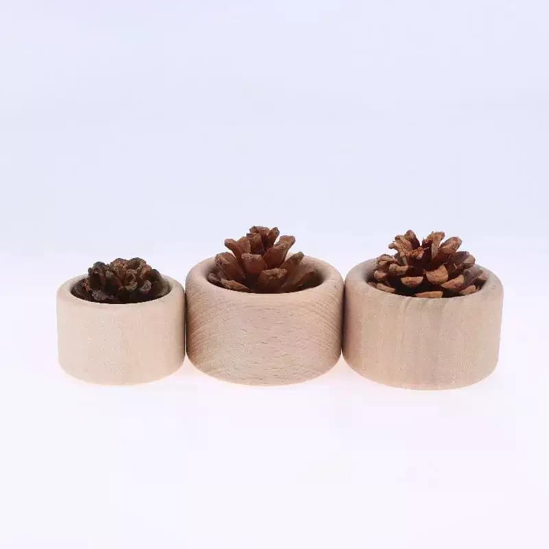 Diffuseur d'huile essentielle en bois de pomme de pin créatif