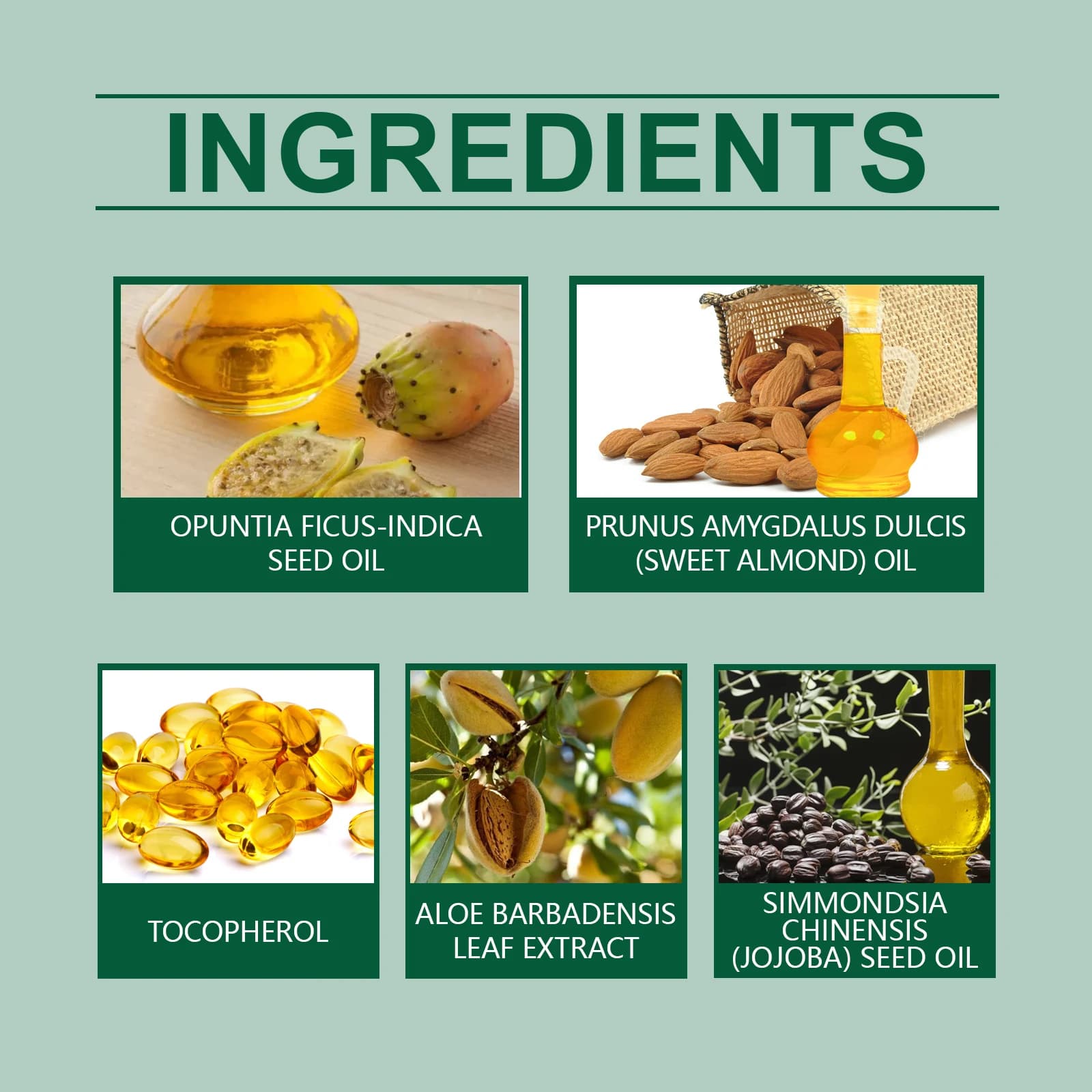 Huile de graines de Cactus 2 en 1, visage, corps, cheveux, Massage hydratant à base de plantes naturelles, Argan, amande, traitement nourrissant Anti-Pollution