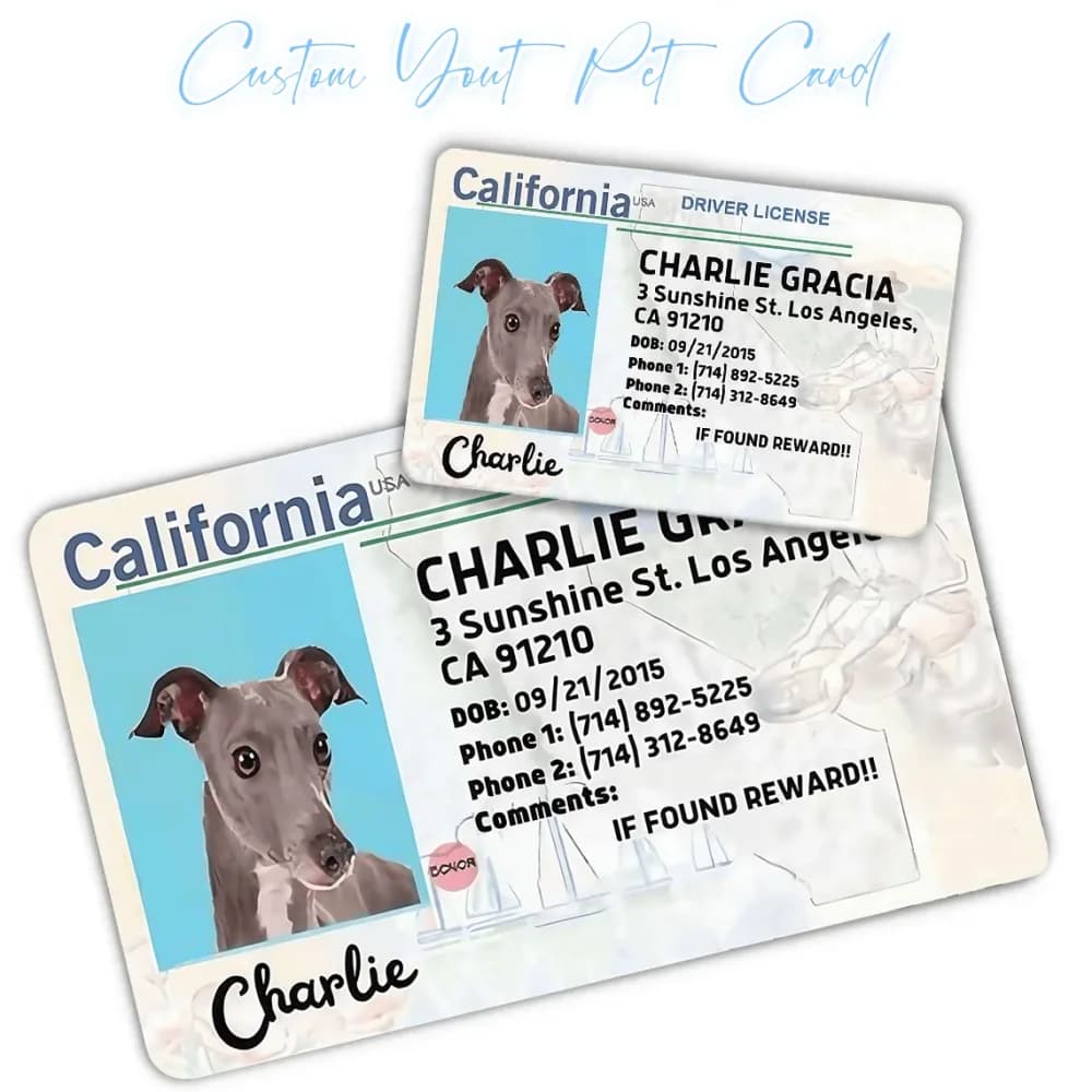 Carte personnalisée pour chien, carte d'identification pour animal de compagnie, cadeau d'anniversaire pour animal, carte de poche idéale pour animal, cadeau pour animal de compagnie
