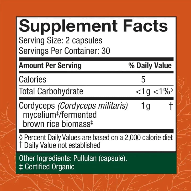 Capsules de Cordyceps, compléments alimentaires pour soutenir l'immunité et l'énergie
