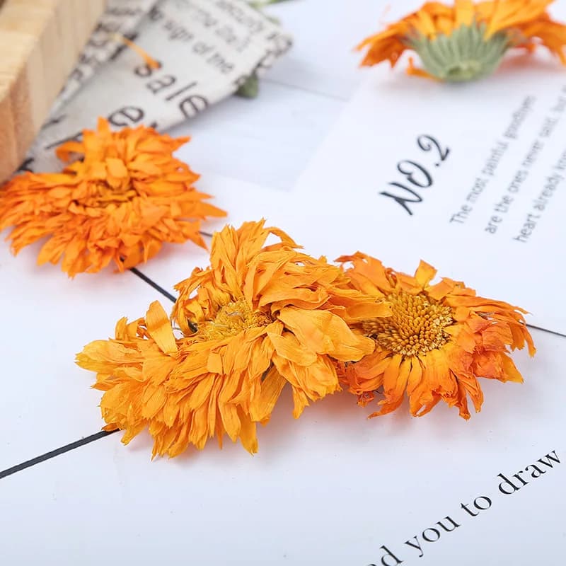 Calendula de camomille naturelle de qualité supérieure, fleur séchée pour Essence d'aromathérapie, bougie, fabrication de savon, décoration de maison, décorations de douche